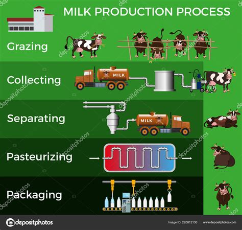 Esquema detallado de las etapas de transformación de la leche en queso desde la granja hasta el consumidor