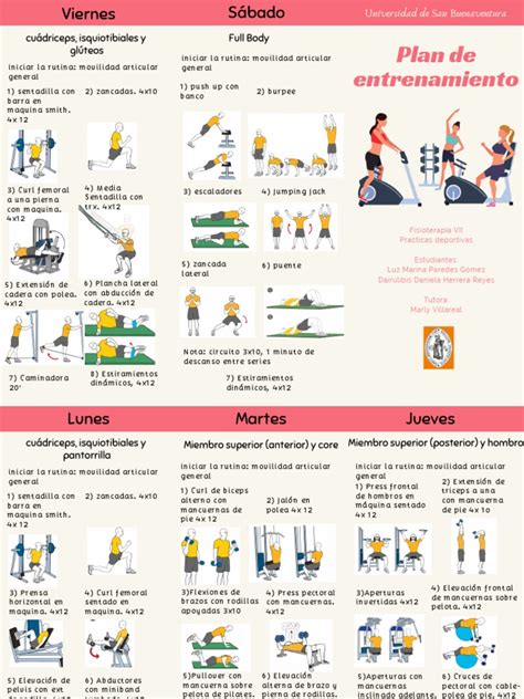 Esquema detallado de un plan de entrenamiento físico semanal para aves de combate