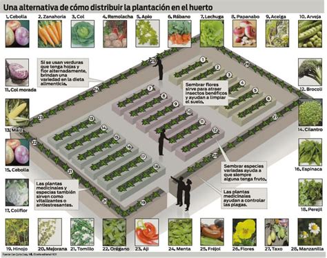 Esquema de planificación de un huerto urbano: distribución de macetas según la orientación solar y facilidad de riego.