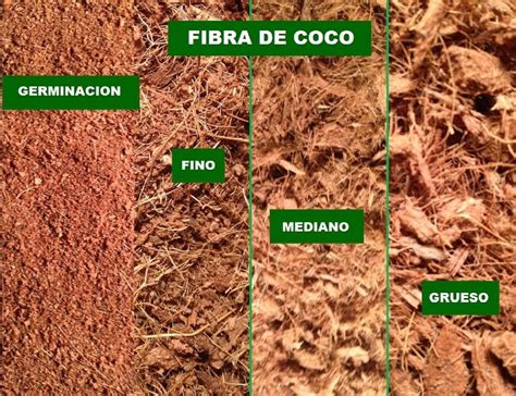 Infografía comparativa: tipos de sustrato y cómo mezclar fibra de coco con compost para un drenaje óptimo.