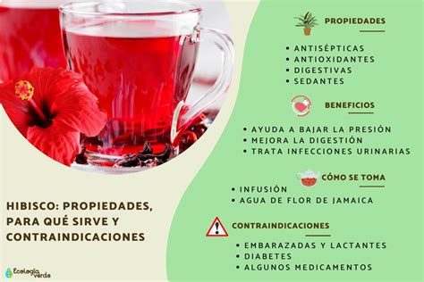 Ingredientes para la bebida digestiva: hibisco, jengibre, canela, granada y naranja