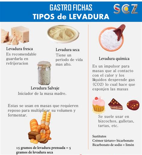 Foto de diferentes tipos de levadura en sus envases: sobres de instantánea, gránulos de seca activa y un bloque de fresca.