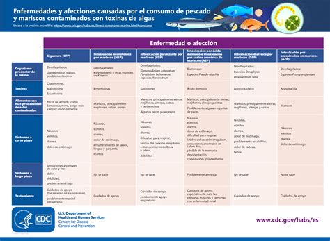 Esquema de floración algal y sus efectos en mariscos