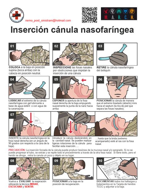 Esquema con las zonas recomendadas para la inserción de la cánula o el parche de la bomba de insulina (abdomen, glúteo, muslo)
