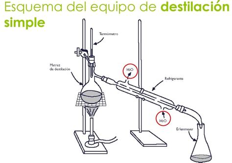 Esquema del proceso de destilación que explica cómo el vapor separa el alcohol de las proteínas del grano