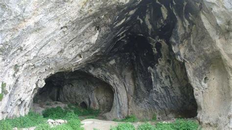 Representación artística o esquema de la Cueva del Murciélago o restos arqueológicos de maíz precolombino