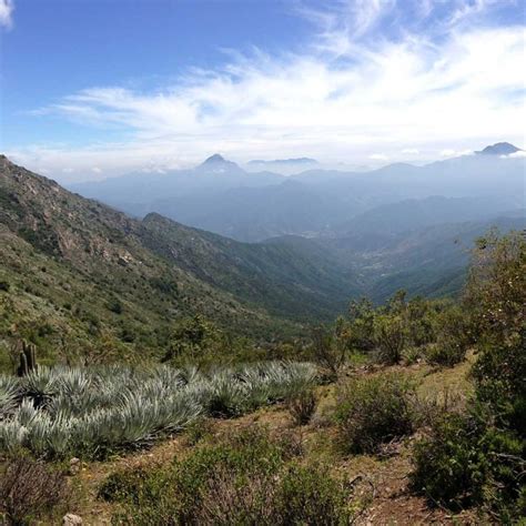 Fotografía panorámica del restaurante con vista al cerro La Campana y entorno natural
