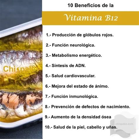 Infografía nutricional que destaca los beneficios de la vitamina B12 y las proteínas en la carne de cordero