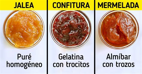 Infografía comparativa: texturas y procesos de mermelada, jalea y compota
