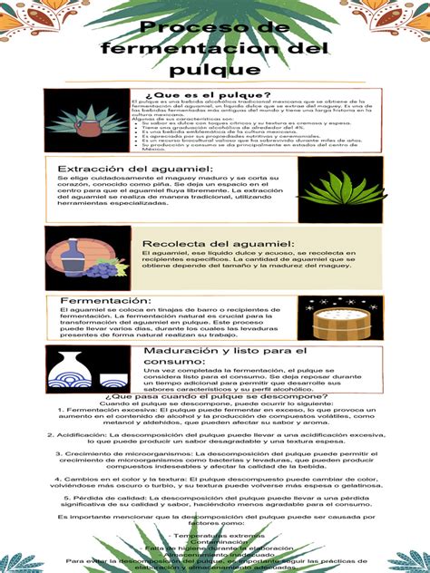 Esquema del proceso de fermentación del tempeh, desde el grano original hasta la barra firme.