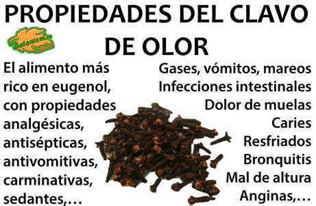 Infografía detallando las propiedades medicinales del clavo de olor y sus componentes activos.