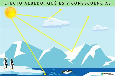 Diagrama que ilustra el efecto albedo en el hielo marino y cómo el derretimiento aumenta la absorción de calor