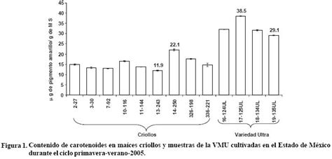 Gráfica de contenido de carotenoides en maíces amarillos por tipo y ciclo de cultivo
