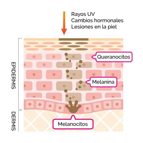 Diagrama de Manhattan mostrando QTLs asociados a la pigmentación en salmón (Figura 2)