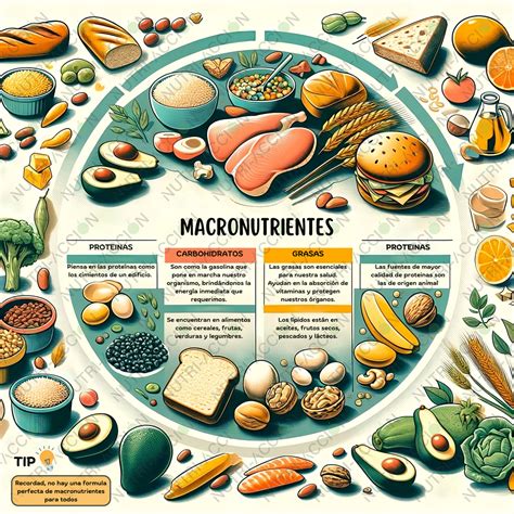 Infografía comparativa: macronutrientes del pan, la palta y el jamón serrano en porciones estándar