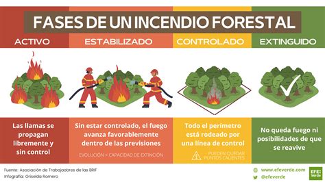 Esquema de las etapas del fuego para cocinar a la brasa