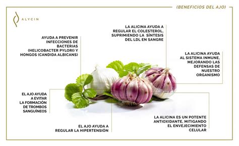 Infografía que muestra los componentes activos del ajo (alicina) y el ají (capsaicina) y su acción sobre las plagas agrícolas