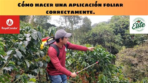 Esquema de aplicación foliar correcta destacando la cobertura necesaria por acre
