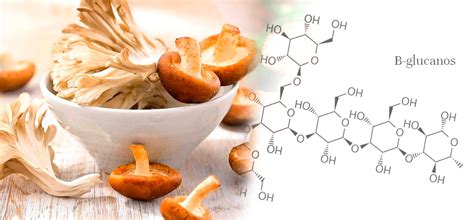 Esquema sobre la acción de los betaglucanos en el sistema digestivo para el control de glucosa y colesterol.