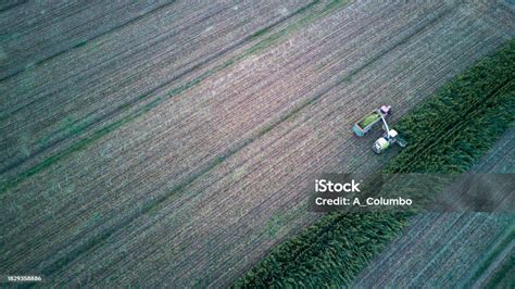 Vista aérea de un campo de maíz listo para ensilaje