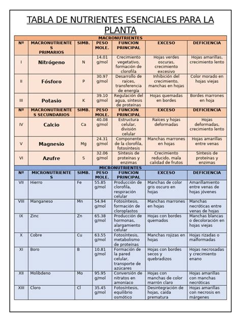Tabla de nutrientes esenciales para el maíz y sus funciones en el desarrollo