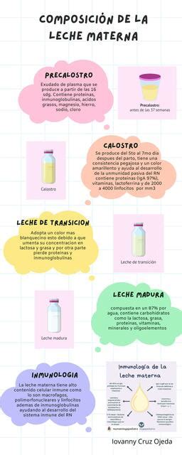 Infografía detallando la composición de la leche materna y cómo se replica en las fórmulas infantiles, con énfasis en proteínas, carbohidratos y grasas.