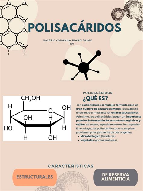 Esquema sobre la actividad biológica de los polisacáridos en células cancerosas y su interacción con el sistema inmunitario.