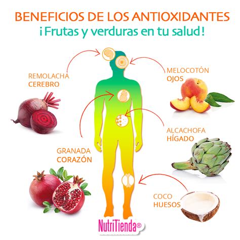 Infografía sobre los beneficios de los antioxidantes