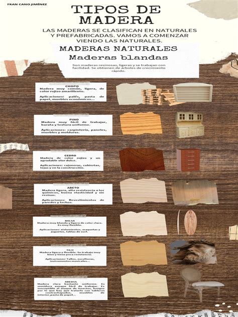 infografía sobre los tipos de madera para asado y sus características de combustión