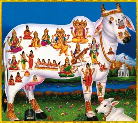 Representación de Kâmadhenu, la vaca celestial, rodeada de símbolos de abundancia.