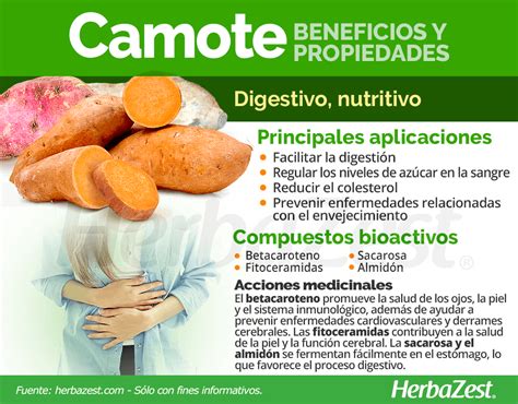 Esquema de los beneficios del camote para la salud cardiovascular y digestiva