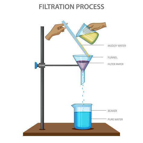 Proceso de filtrado de caldo con tela