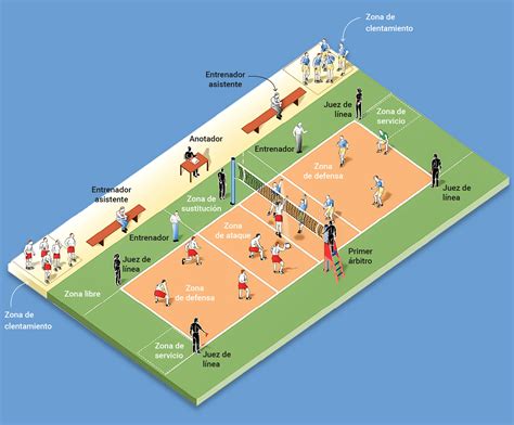 Esquema de la cancha de voleibol mostrando la posición del colocador y sus posibles jugadas estratégicas
