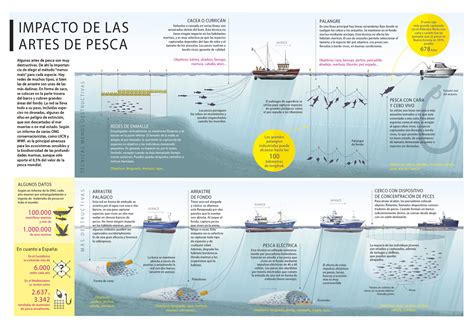 Infografía sobre las artes de pesca sostenibles utilizadas para la merluza austral