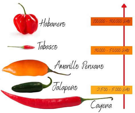 Infografía que muestra las distintas variedades de ají y su escala de calor (Escala Scoville).