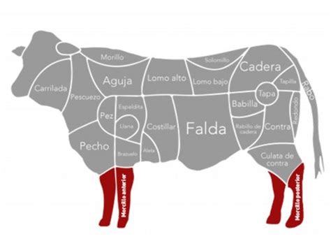 Esquema del corte de osobuco en la pata de ternera