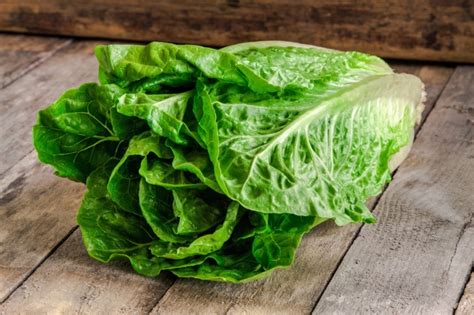 Ilustración detallada de una hoja de lechuga romana, destacando su textura crujiente y su forma características para la ensalada César.