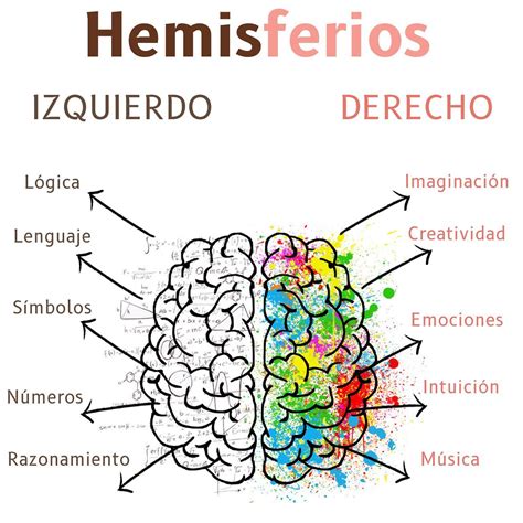 Ilustración de un cerebro humano destacando las áreas frontotemporales del hemisferio derecho implicadas en la consciencia del otro.
