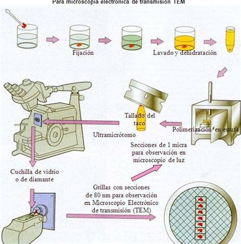 Esquema de preparación que muestra el lavado de la lechuga y la disposición de ingredientes en el bol.