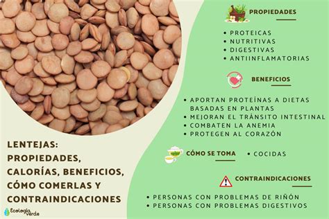 infografía sobre los beneficios de las lentejas (proteínas, fibra) y el tomate (antioxidantes)