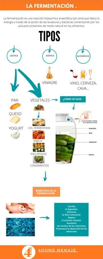 Infografía sobre los tiempos de fermentación y cómo la temperatura afecta a la masa.