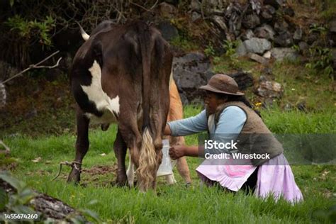 Fotografía de una mujer ordeñando una camella en el noreste de África