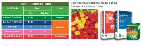 Tabla 2. Análisis foliar de nutrientes en cerezos bajo diferentes tratamientos de encalado.