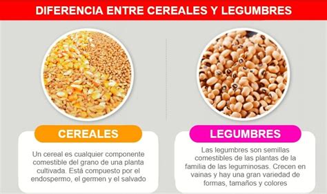 Esquema nutricional mostrando la combinación complementaria de aminoácidos entre legumbres y cereales