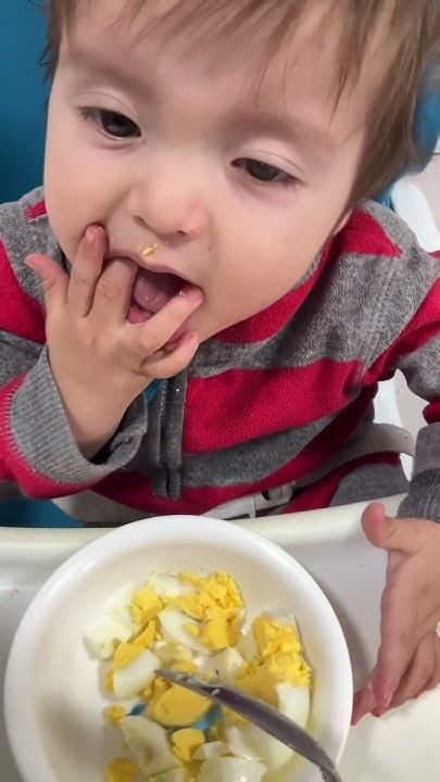 bebé probando huevo cocido por primera vez