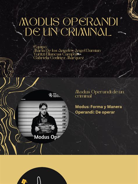 infografía sobre el modus operandi de bandas criminales en puertos