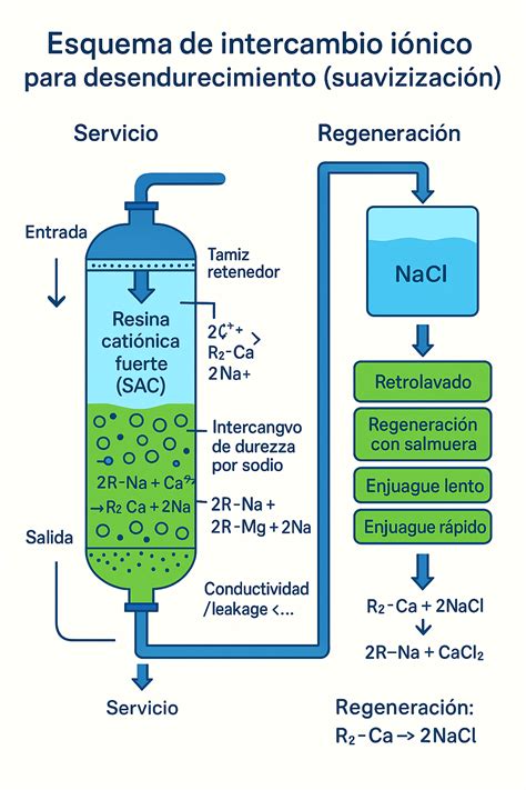 Esquema visual: el proceso de 