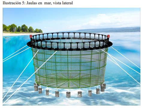 Esquema de una jaula de acuicultura sumergible.