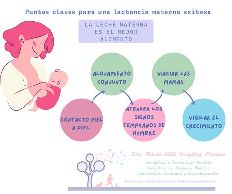Gráfico que muestra diferentes estrategias para la lactancia mixta, como la alternancia de tomas y la complementación.