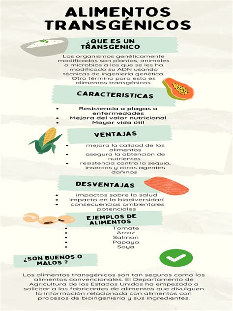 infografía comparando la composición genética de alimentos convencionales y transgénicos